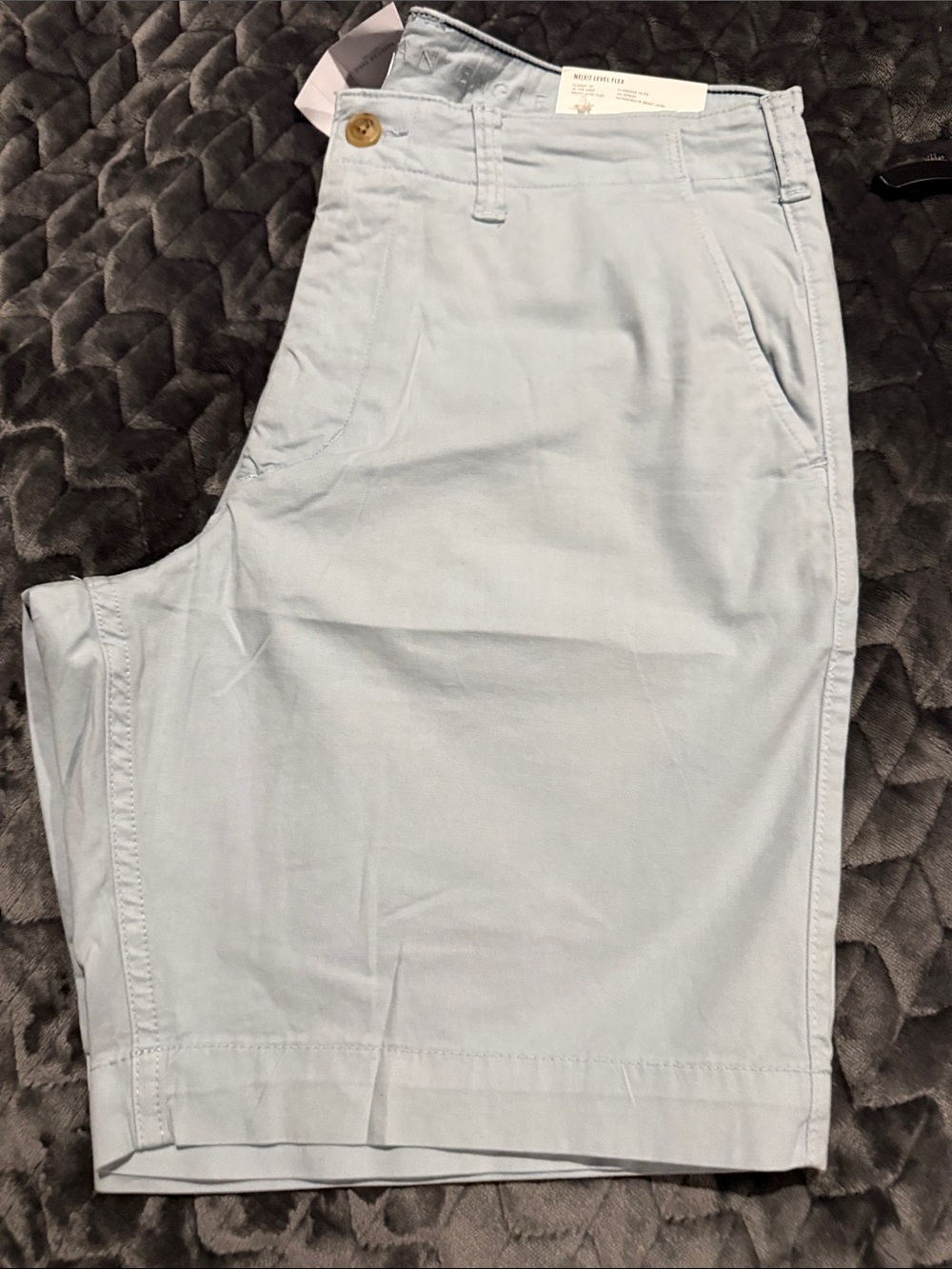 American Eagle Outfitters Light Blue Flat-Front Men's Shorts
